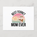 Recherche de le furet cartes invitations Animaux domestiques