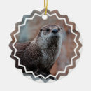 Recherche de loutre ornements Mammifère