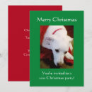 Recherche de de chien noël invitations Mignon