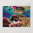 Zoek naar lawaai briefkaarten Desiderata