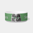 Recherche de race de chat Cats