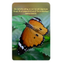 Recherche de africain magnets Papillon