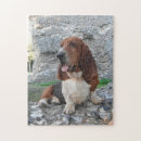 Recherche de basset hound puzzles Chiens