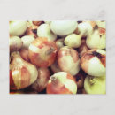 Recherche de oignons cartes postales Nourriture