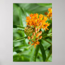 Zoek naar vloeren posters Plant