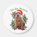 Recherche de extracteur magnets Laboratoire noir