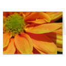 Recherche de production cartes postales Jardin