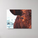 Zoek naar koe hoofd posters Boerderij