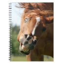 Recherche de oeil de cheval Brun
