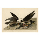 Recherche de pèlerins posters Illustration