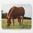 Recherche de mousepads cheval tapis souris Pâturage