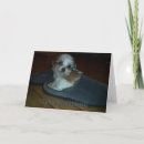 Recherche de marionnette vœux cartes Dog