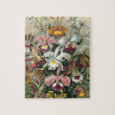 Recherche de orchid puzzles Fleur