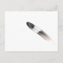 Zoek naar witte veren briefkaarten Zwart