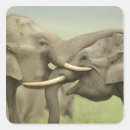 Recherche de éléphant asiatique autocollants Corbett