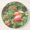 Recherche de comestible dessous de verres Nature