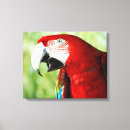 Recherche de ailes impressions sur toile Vert