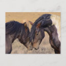 Recherche de coeur de cheval cartes postales Chevaux