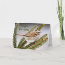 Recherche de moineau vœux cartes Blanc