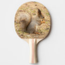 Recherche de écureuil raquettes ping pong Nature