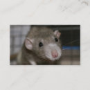 Recherche de rattie cartes visite Animal