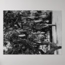 Recherche de honolulu posters États