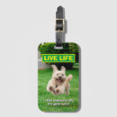 Recherche de humour de chien bagages étiquettes Blague