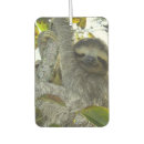 Recherche de sourire voiture accessoires Animal