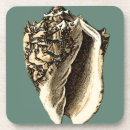 Zoek naar shells onderzetters Strand
