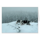 Recherche de salutation dannée Chien