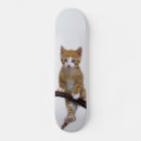 Recherche de minou skateboards Mignon