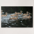 Recherche de canard puzzles Énigmes