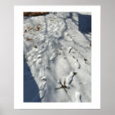 Recherche de empreinte de pas posters Neige