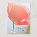 Recherche de pavot rouge cartes postales Penser à vous