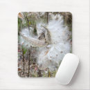 Recherche de algues tapis souris Chute