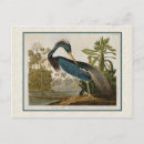 Recherche de heron cartes postales Antique