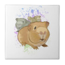 Recherche de cobaye carreaux Animaux