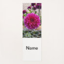 Recherche de dahlia Rose