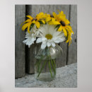 Zoek naar madeliefjes posters Bloem