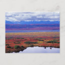 Recherche de toundra cartes postales Nature