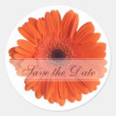 Recherche de gerbera rouge autocollants Marguerie