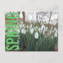 Recherche de goûter cartes postales Fleurs