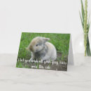 Recherche de lapin vœux cartes Lièvre
