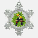 Recherche de exotique ornements Toucan