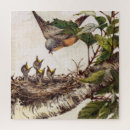 Recherche de hatchling Nid