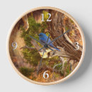 Recherche de ornithologique horloges Faune