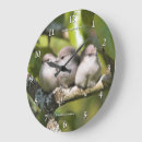 Recherche de oiseaux noirs horloges Family