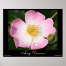 Recherche de minuscule posters Fleur