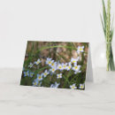 Recherche de forêt toutes vœux cartes Photographie