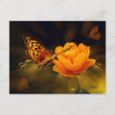 Recherche de papillon orange cartes postales Photographie